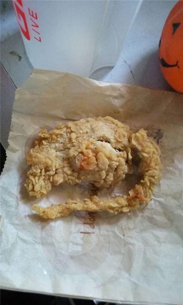 đồ ăn nhanh, gà rán, chuột, KFC