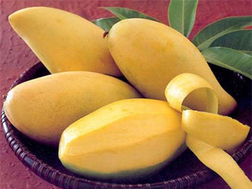 Cách chọn xoài ngon chuẩn xác nhất là quan da, màu sắc của quả xoài