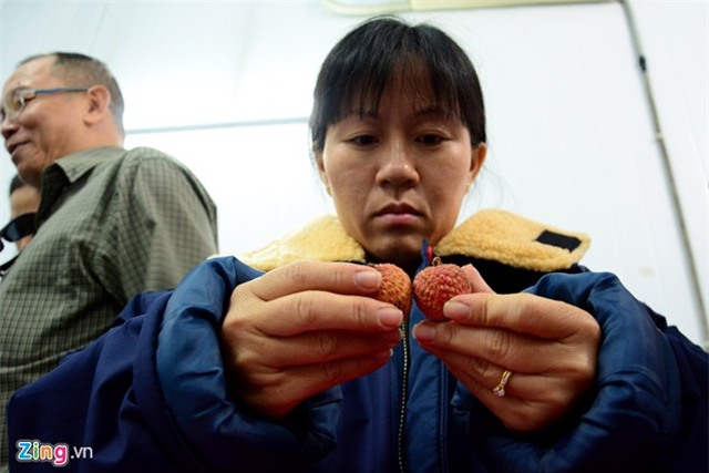 Bên trong dây chuyền xuất khẩu vải thiều đi Mỹ, Úc