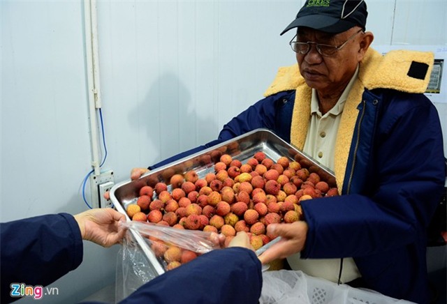 Bên trong dây chuyền xuất khẩu vải thiều đi Mỹ, Úc