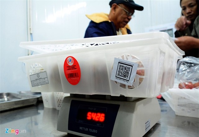 Bên trong dây chuyền xuất khẩu vải thiều đi Mỹ, Úc