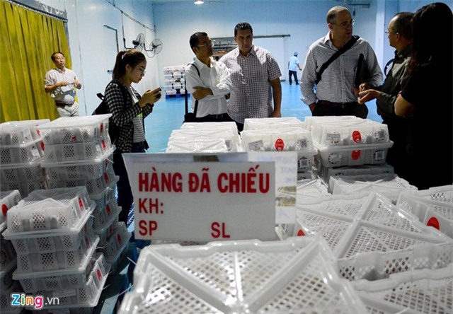 Bên trong dây chuyền xuất khẩu vải thiều đi Mỹ, Úc