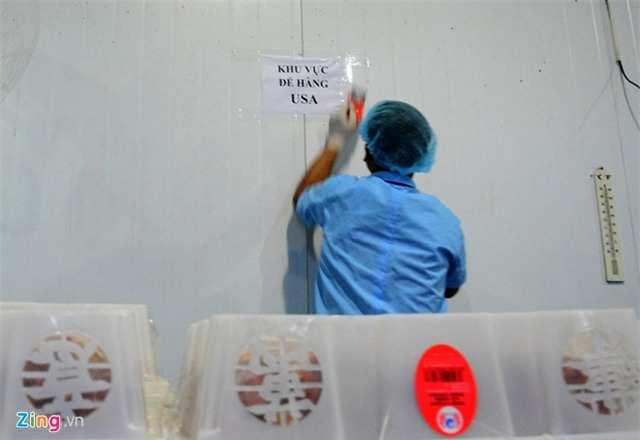 Bên trong dây chuyền xuất khẩu vải thiều đi Mỹ, Úc