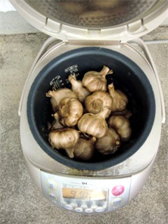 Tỏi đen, thần dược, chữa ung thư, ủ bằng nồi cơm điện, dân công sở, Hàn Quốc, Nhật Bản, tỏi-đen, thần-dược, chữa-ung-thư, tự-làm-tỏi-đen, ủ-bằng-nồi-cơm-điện, dân-công-sở, Hàn-Quốc, Nhật-Bản, ướp-bia