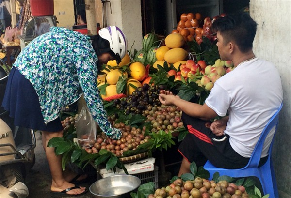 Mận hậu, mận hậu Bắc Hà, Tết Đoan ngọ, tăng giá, tích trữ, hoa quả, mận cuối mùa, mận-hậu, mận-hậu-Bắc-Hà, Tết-Đoan-ngọ, tăng-giá, tích-trữ, hoa-quả, mận-cuối-mùa