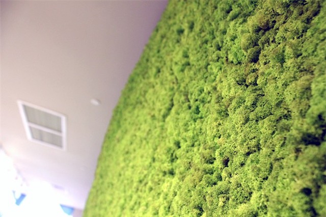 Những chiếc ghế lạ giá vài trăm triệu ở Sài Gòn