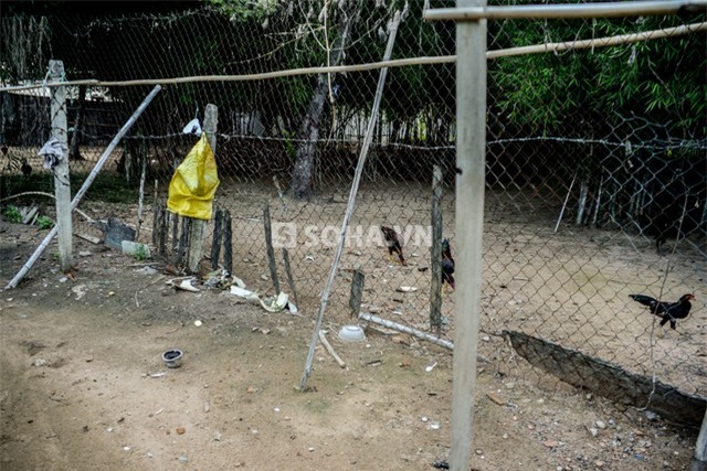 Quang cảnh tạm bợ xung quanh nhà trọ của Phùng Ngọc.