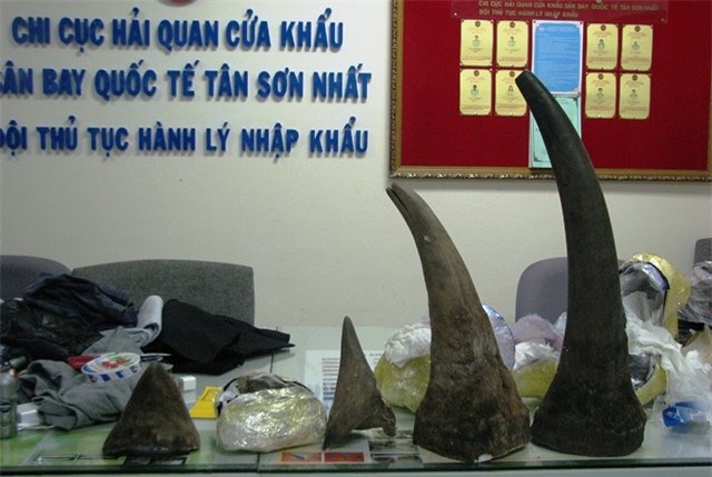 Buôn lậu, sừng tê giác, Nam Phi, Việt Nam, nhân viên hàng không, móc nối, tiêm chất độc, buôn-lậu, sừng-tê-giác, Nam-Phi, Việt-Nam, nhân-viên-hàng-không, móc-nối, tiêm-chất-độc, chữa-ung-thư