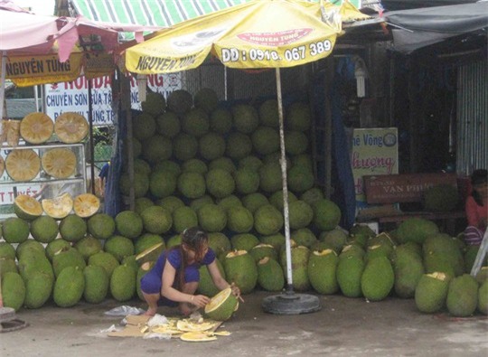 Một điểm bán mít vắng tanh khách hàng