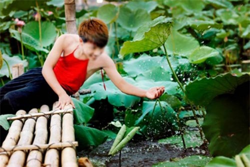 thiếu nữ, đầm sen, phản cảm