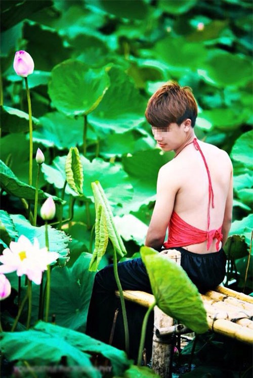 thiếu nữ, đầm sen, phản cảm