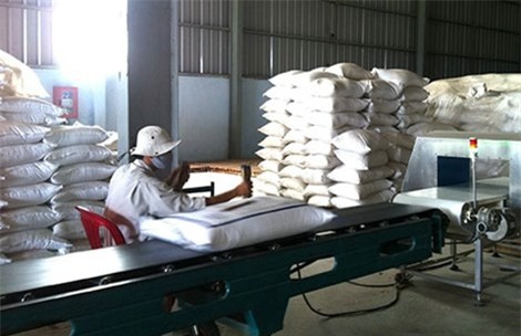 Quá phụ thuộc vào thị trường Trung Quốc, gạo xuất khẩu Việt Nam gặp khó. 