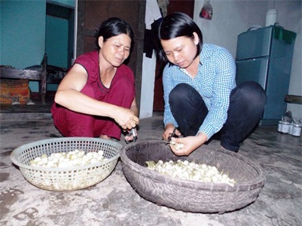 Những cử nhân, thạc sỹ bỏ bằng cấp, về quê…làm nông - 3