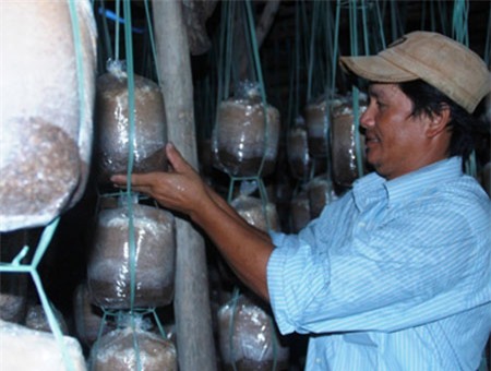 Những cử nhân, thạc sỹ bỏ bằng cấp, về quê…làm nông - 5