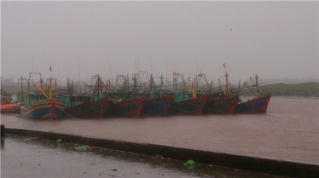 Khu neo đầu tàu thuyền tại Đồ Sơn đã được chằng buộc trước mưa lớn