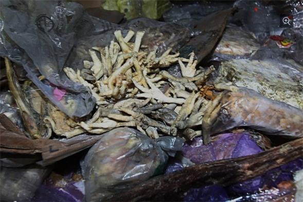 TQ: Suýt ngất vì thịt thối đông lạnh 40 năm - 3