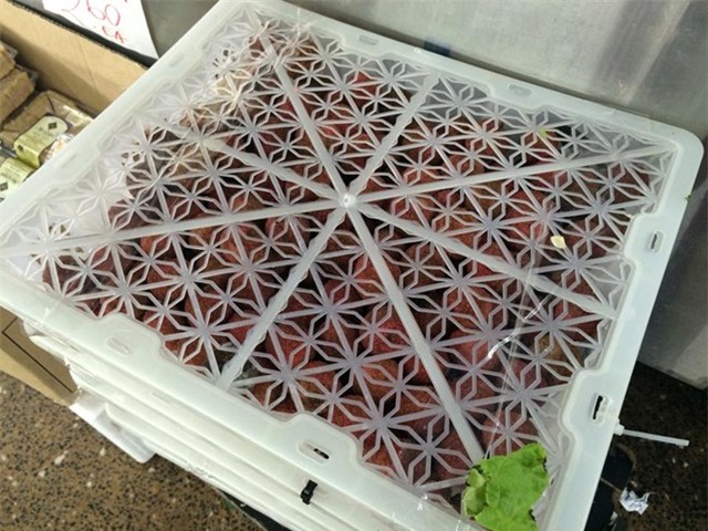 Người Việt ở Australia háo hức chờ mua vải thiều