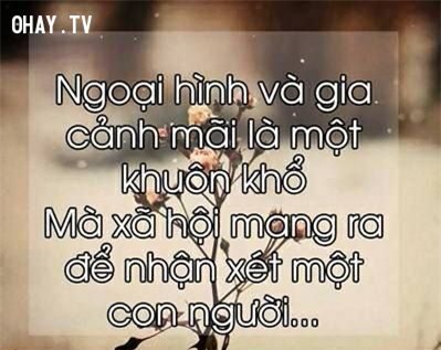 sự thật, cuộc sống