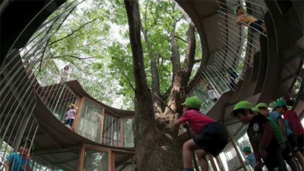 Nhật Bản, mầm non, trò chơi, lạ, sáng tạo, thiên nhiên, trẻ con