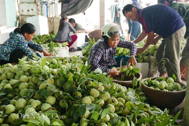 Lạng Sơn, Đồng Bành, chợ na, dài nhất, na khủng, biên giới, tiểu thương, Lạng-Sơn, Đồng-Bành, chợ-na, dài-nhất, na-khủng, biên-giới, tiểu-thương,