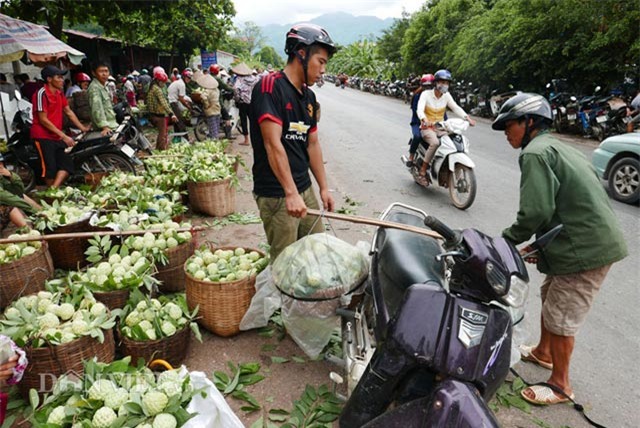 Lạng Sơn, Đồng Bành, chợ na, dài nhất, na khủng, biên giới, tiểu thương, Lạng-Sơn, Đồng-Bành, chợ-na, dài-nhất, na-khủng, biên-giới, tiểu-thương,