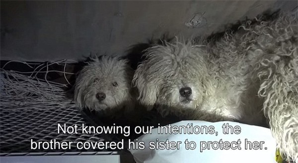 2BDAD7C600000578-3217421-image-m-25_1441049988415-28fc0