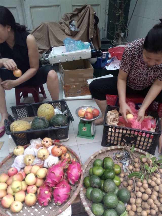 táo Trung Quốc, táo mèo, táo mèo Hà Giang, táo Trung Quốc, đội lốt, Hà giang, Trung Quốc, táo