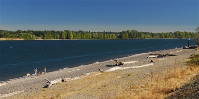 Bãi biển Collins, đảo Sauvie, Oregon: Bãi tắm nằm ở sông Columbia này cách Portland không xa. Đường ra đây khá gập gềnh, với khoảng 400 m cuối là đường đá sỏi. Tuy nhiên, bãi tắm không yêu cầu quần áo này khá thú vị, yên tĩnh và thư thái.