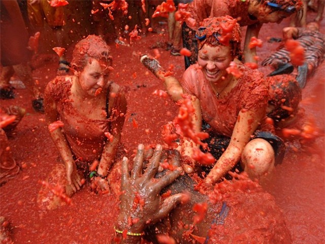 La Tomatina, Bunol, Tây Ban Nha: Vào thứ tư cuối cùng của tháng 8, thị trấn Bunol lại chật kín người và... cà chua. Hàng nghìn người đổ về đây để ném cà chua vào nhau. Cà chua được đè bẹp trước khi ném, sau đó các xe cứu hỏa sẽ rửa sạch đường phố. Lễ hội La Tomatina còn được tổ chức ở Sutamarchán, Colombia và Reno, Nevada.