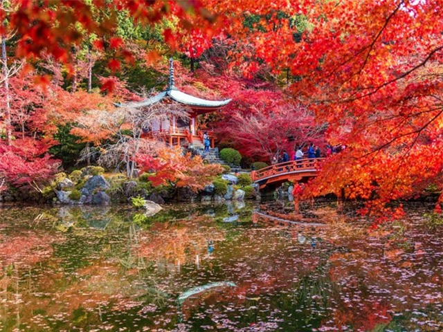 Kyoto, Nhật Bản, vừa được Travel + Leisure vinh danh là thành phố tuyệt nhất thế giới dựa trên bình chọn của độc giả. Từng là kinh đô của Nhật hơn 1.000 năm, thành phố này có rất nhiều đền miếu, vườn và công viên để bạn khám phá. 