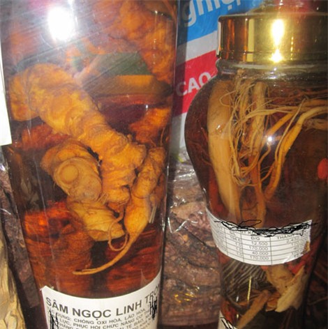 sâm giả, sâm rác, sâm Ngọc Linh, sâm quý, thần dược, dân buôn, thương lái, sâm-giả, sâm-rác, sâm-Ngọc-Linh, sâm-quý, thần-dược, dân-buôn, thương-lái,
