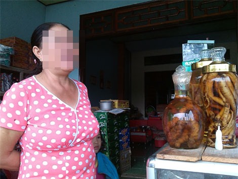 sâm giả, sâm rác, sâm Ngọc Linh, sâm quý, thần dược, dân buôn, thương lái, sâm-giả, sâm-rác, sâm-Ngọc-Linh, sâm-quý, thần-dược, dân-buôn, thương-lái,