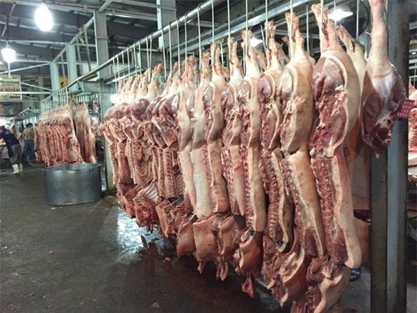 chợ Bình Điền, thuê sạp, tiền thuê, chợ-Bình-Điền, thuê-sạp, trung-gian