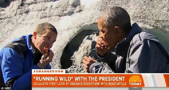 Obama ăn cá thừa của gấu trong thử thách sinh tồn