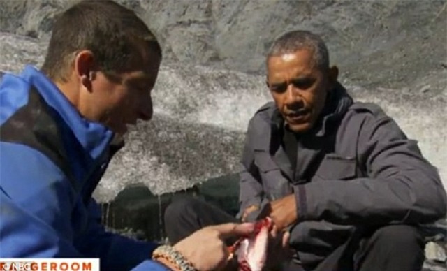 Obama ăn cá thừa của gấu trong thử thách sinh tồn