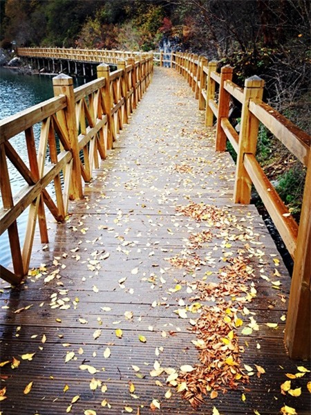 Giá vé vào cổng cho 1 người là 220 NDT, và vé xe bus tham quan các điểm sẽ là 90 NDT. Khách du lịch thường mua cả 2 vé này vì diện tích bên trong rất lớn, đi bộ tham quan sẽ không thể đi hết các địa điểm trong ngày. Ảnh: Baike