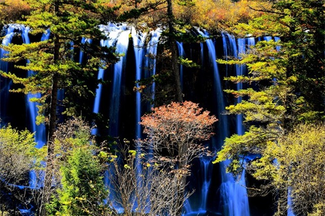 Khung cảnh ở thác nước Nặc Nhật Lãng cũng rất đặc biệt. Thác cao 20m và rộng 320m, là thác nước lớn nhất vùng cao nguyên của Trung Quốc và là một trong những biểu tượng của Cửu Trại Câu. Ảnh: Mafengwo