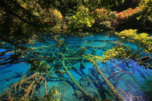 Du khách có thể lựa chọn cho mình một hành trình tới Cửu Trại Câu vào mùa thu để thưỡng lãm tuyệt tác mà thiên nhiên ban tặng cho con người. Ảnh: Ifeng