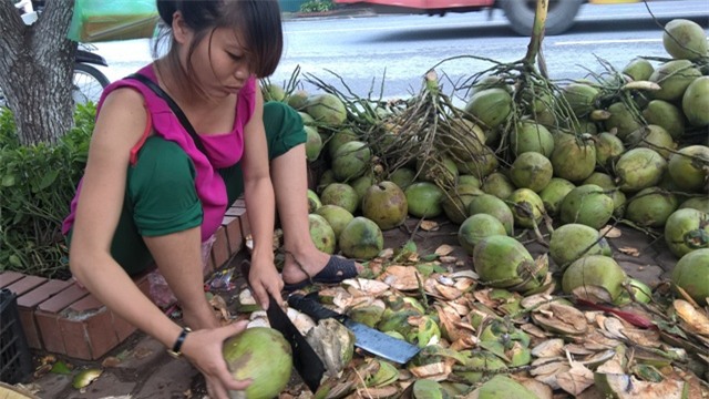 dừa xiêm, đổ đống, giá rẻ, vỉa hè, Hà Nội, thương lái, thu mua, dừa-xiêm, đổ-đống, giá-rẻ, vỉa-hè, Hà-Nội, thương-lái, thu-mua,