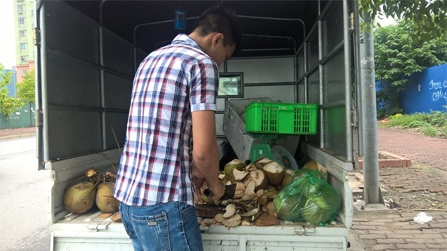 dừa xiêm, đổ đống, giá rẻ, vỉa hè, Hà Nội, thương lái, thu mua, dừa-xiêm, đổ-đống, giá-rẻ, vỉa-hè, Hà-Nội, thương-lái, thu-mua,