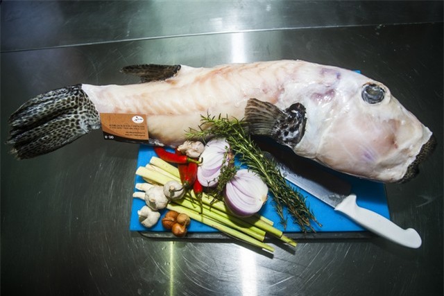 Mỹ nhân ngư, hàng hiếm dành riêng cho đại gia-3