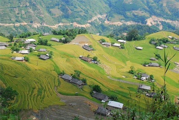 Hà Giang đẹp nao lòng mùa lúa chín