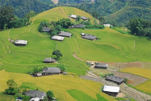 Hà Giang đẹp nao lòng mùa lúa chín