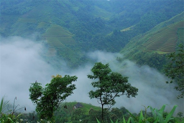 Hà Giang đẹp nao lòng mùa lúa chín