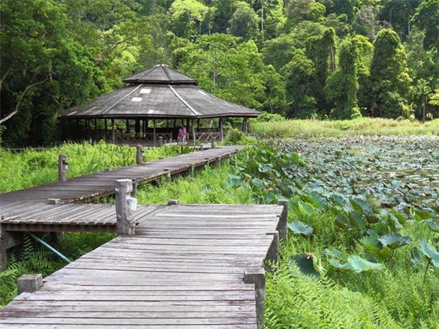 Miền Nam Thái Lan có những khu đồi núi hùng vĩ. Du khách có thể tới thăm Công viên quốc gia vịnh Thale, nằm gần dãy Banthat ở tỉnh Satun.