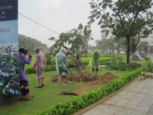 bão, Quảng Nam, Đà Nẵng