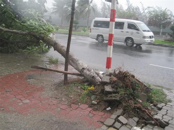 bão, Quảng Nam, Đà Nẵng