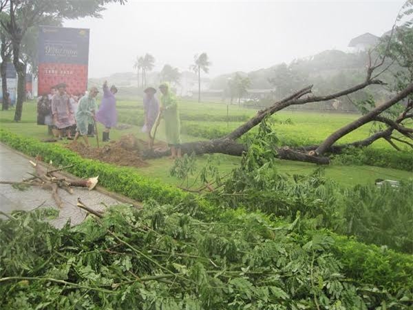 bão, Quảng Nam, Đà Nẵng