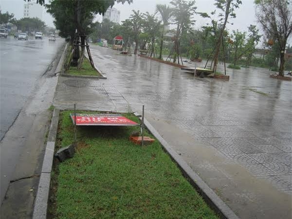 bão, Quảng Nam, Đà Nẵng