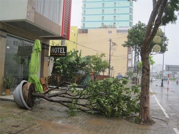 bão, Quảng Nam, Đà Nẵng